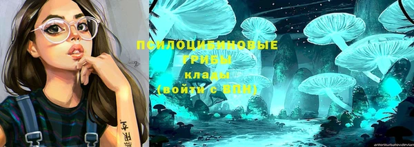 тгк Арсеньев