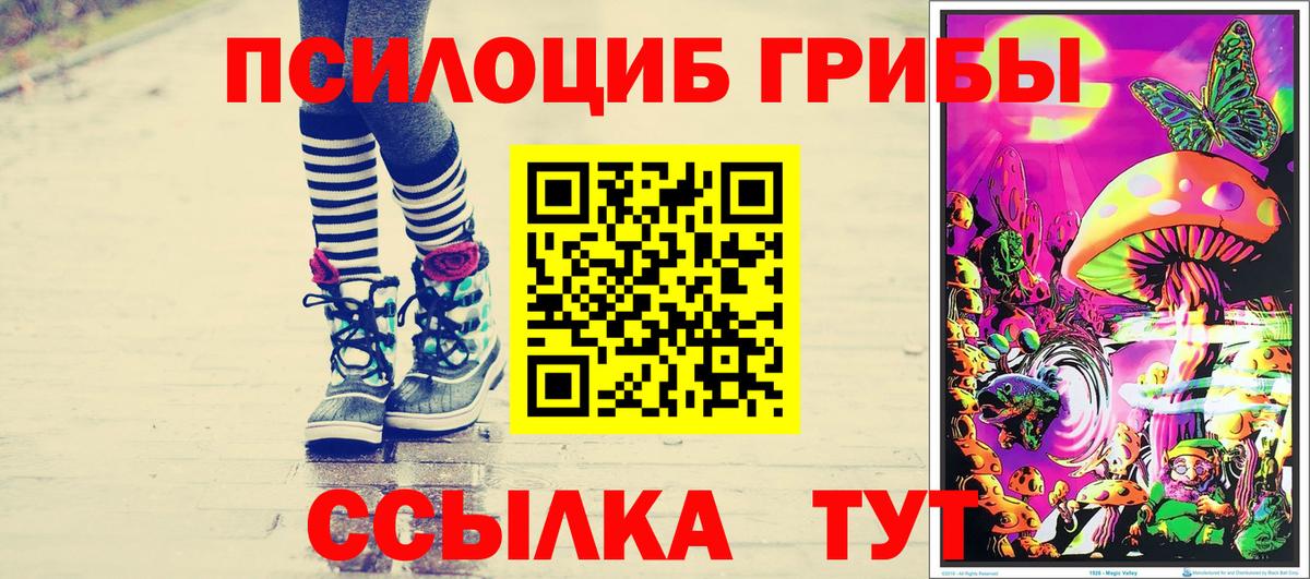 Псилоцибиновые грибы прущие грибы Полысаево