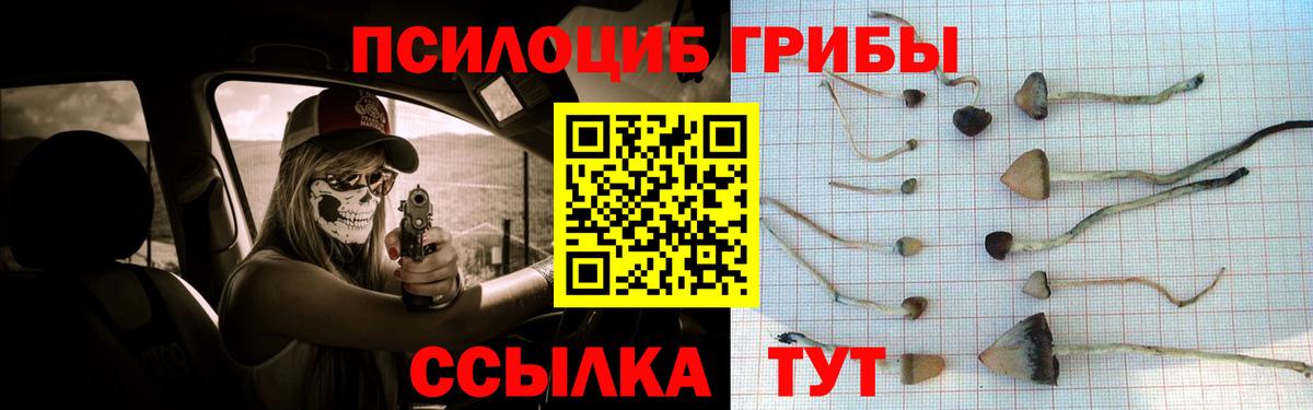 Полысаево  Псилоцибиновые грибы GOLDEN TEACHER  Вход с VPN 